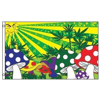 Drapeau - Champignon Starburst